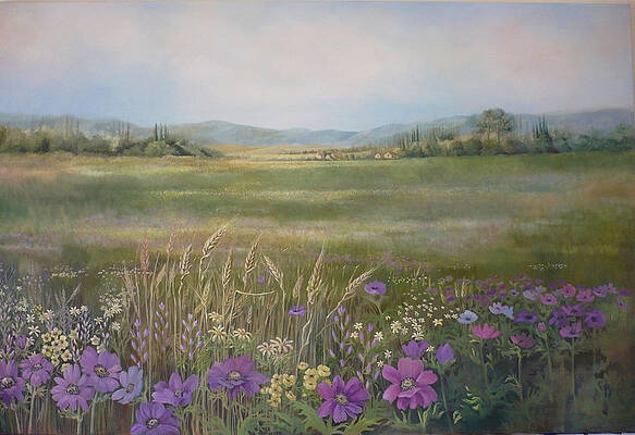 Flower Field by Caroline Philp Flower Field by Caroline Philp