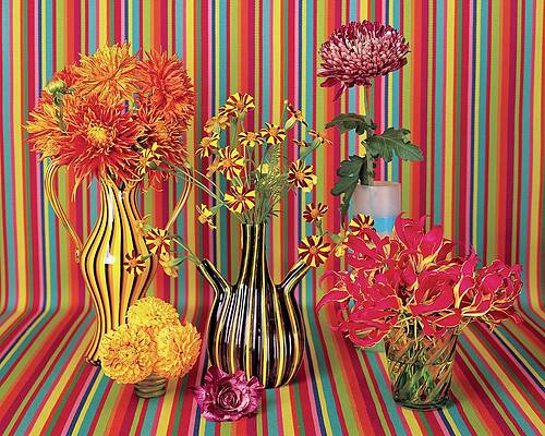 Wall Art - Photograph - Flower Vases Against Striped Fabric by Lisa Charles Watson