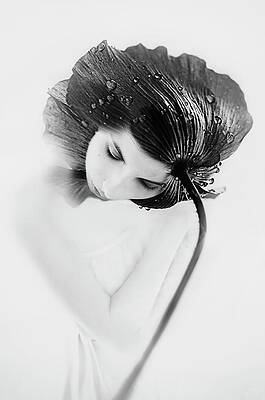 Wall Art - Photograph - Flower Woman by Desislava Ignatova