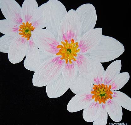 Flowers Of The Night by Celeste Manning Flowers Of The Night by Celeste Manning
