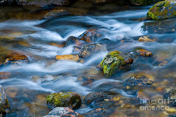 Wall Art - Photograph - Flowing Stream by William H. Mullins