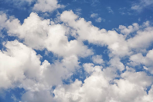 White Fluffy Cotton Clouds On Blue Stock Photo 1341855848