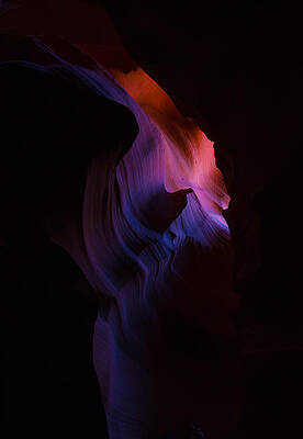 Flutter by Michael Robert Hartman