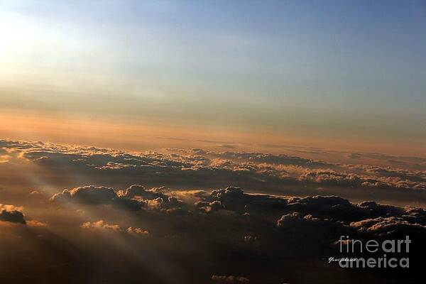 Wall Art - Photograph - Flying with Sunset by Yumi Johnson