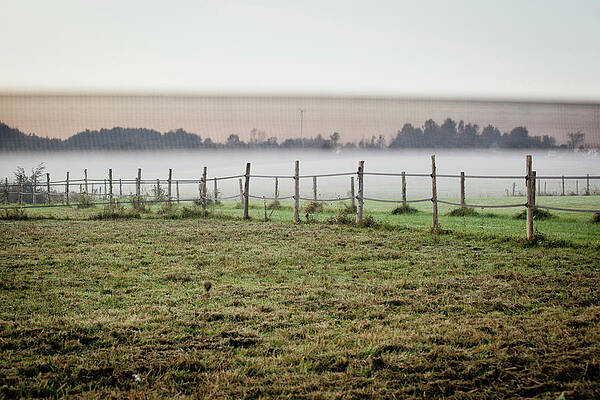 Wall Art - Photograph - Fog And Fence On Farm by Monica Donovan