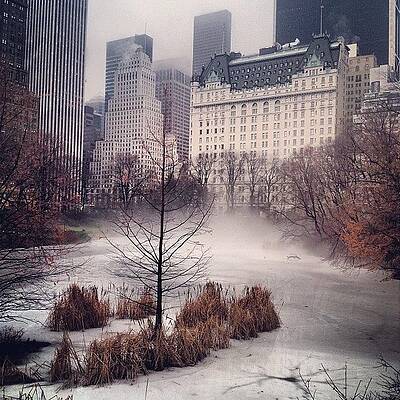 Wall Art - Photograph - Fog In Central Park by Randy Lemoine