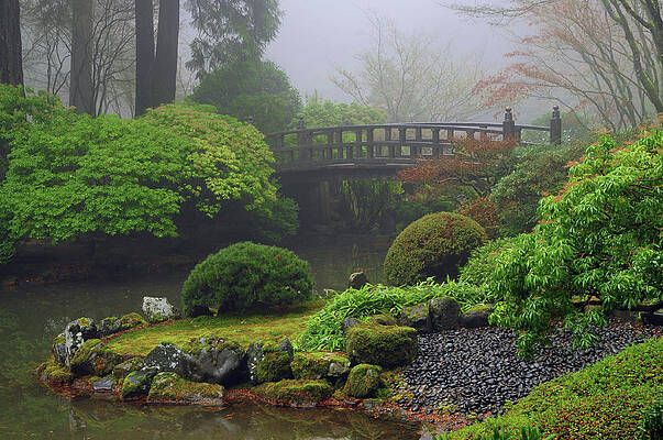Wall Art - Photograph - Fog, Portland Japanese Garden by Michel Hersen