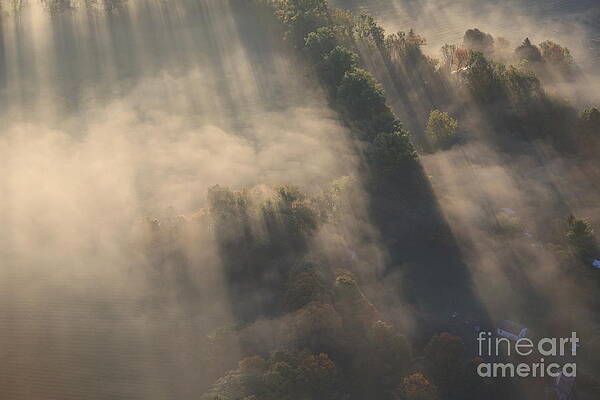 Fog Shadows 1 by Craig Peyton