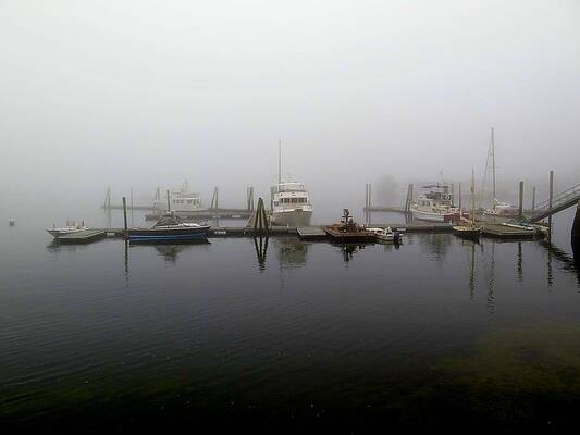 Foggy Boats by Chris Bavelles