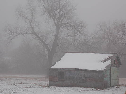 Wall Art - Photograph - Foggy Cold Morning by Virginia White