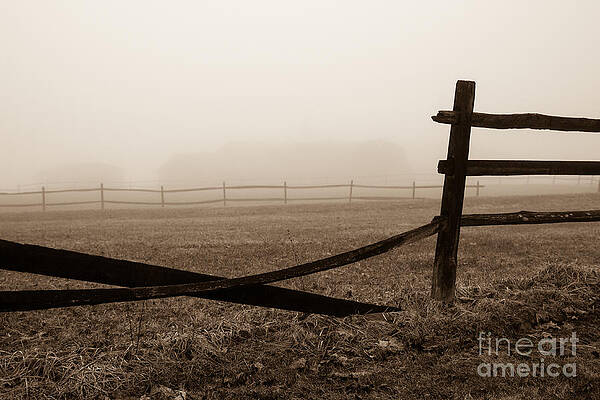 Foggy Pasture by Brad Marzolf Photography Foggy Pasture by Brad Marzolf Photography