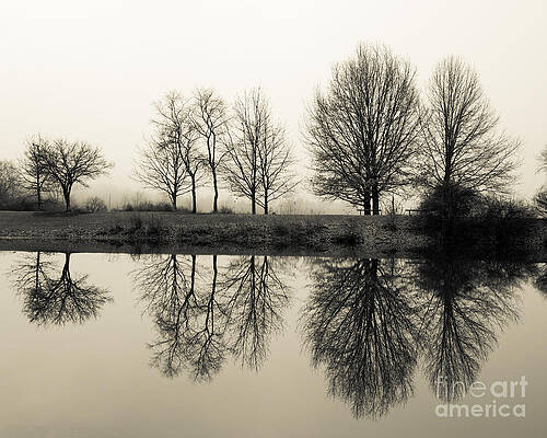Foggy Reflections by Brad Marzolf Photography Foggy Reflections by Brad Marzolf Photography