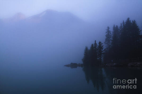 Wall Art - Photograph - Foggy Sunrise by Dennis Hedberg