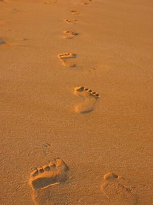 Footprints in the Sand by Andreas Thust Footprints in the Sand by Andreas Thust