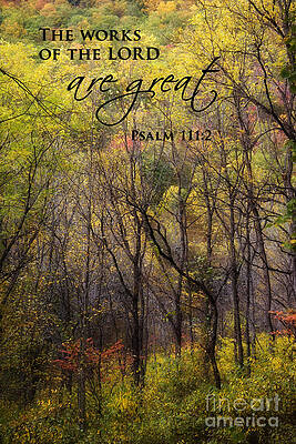 Wall Art - Photograph - Forest in the Fall Scripture by Jill Lang