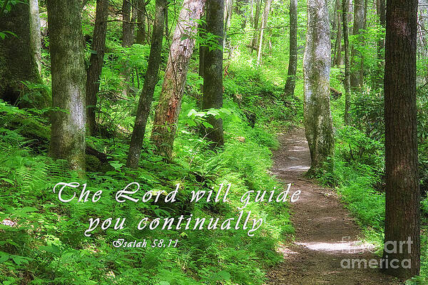 Wall Art - Photograph - Forest Path with Scripture by Jill Lang
