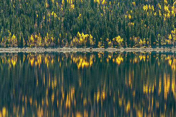 Wall Art - Photograph - Forest Reflecting In Lake In Autumn by Alexandra Simone