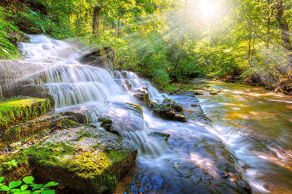 Wall Art - Photograph - Forest stream and waterfall by Alexey Stiop