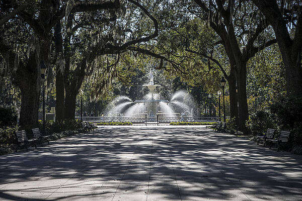 Wall Art - Photograph - Forsyth Fountain Savannah Georgia by Bill Cubitt