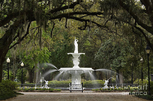 Forsyth Park Fountain - D002615 by Daniel Dempster Forsyth Park Fountain - D002615 by Daniel Dempster
