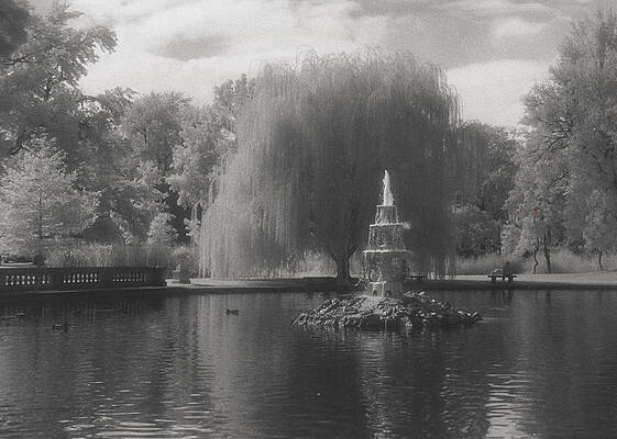 Fountain in Tower Grove Park by Jeri Kropp