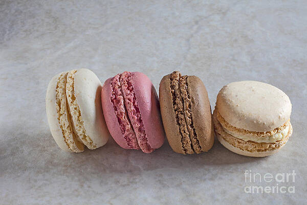 Wall Art - Photograph - Four macarons in a row by Liz Leyden