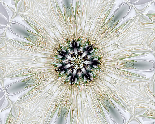 Fractal Desires Kaleidoscope by Barbara A Lane Fractal Desires Kaleidoscope by Barbara A Lane