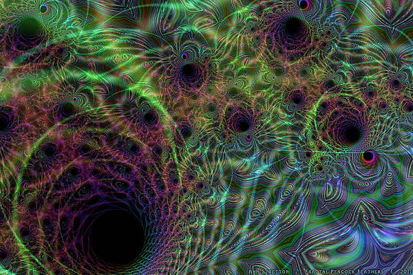 Fractal Peacock Feathers by Ann Stretton Fractal Peacock Feathers by Ann Stretton