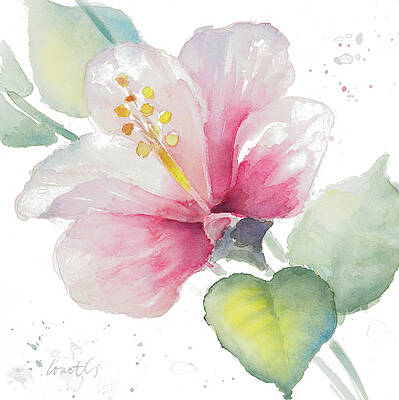 Wall Art - Painting - Fragrant Hibiscus II by Lanie Loreth