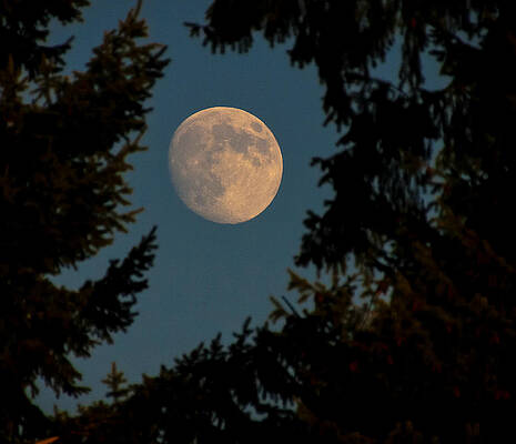 Framed Moon by Katie Vigil Framed Moon by Katie Vigil