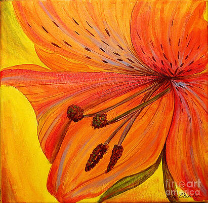 Freckles On Orange by Lee Owenby Freckles On Orange by Lee Owenby