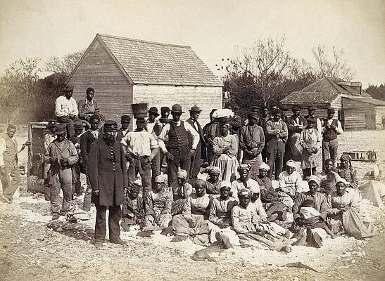 Wall Art - Photograph - Freed Slaves, 1862 by Granger