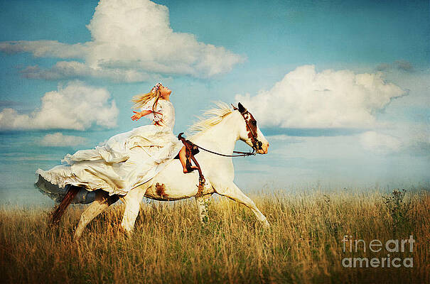Freedom by Cindy Singleton Freedom by Cindy Singleton