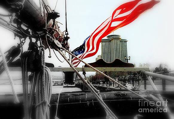 Freedom Sails by Michael Hoard Freedom Sails by Michael Hoard