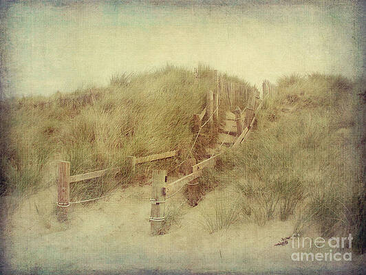 Wall Art - Photograph - French Coast beach #2 by Svetlana Novikova