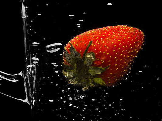 Fresh by Damian Morphou Fresh by Damian Morphou