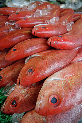 Wall Art - Photograph - Fresh Red Snapper At The Fish Market by Chris Pinchbeck
