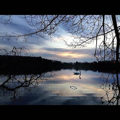 From A Quick Photo Break While Getting by Craig Szymanski