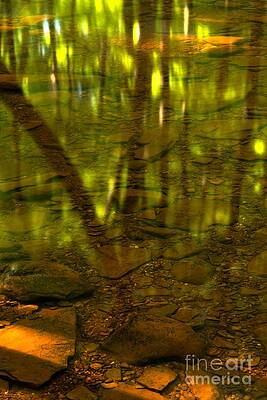 Wall Art - Photograph - From River Rocks To Forest Reflections by Adam Jewell