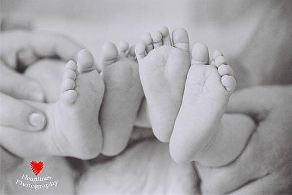 From Small Beginnings by Myrna Hunking