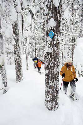 Wall Art - Photograph - Front View Of Three Adults In Snowshoes by Jonathan Kingston