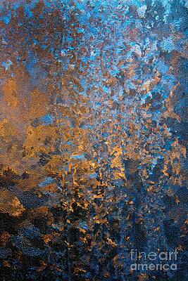 Wall Art - Photograph - Frost Abstract by John Harmon
