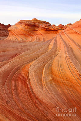 Wall Art - Photograph - Frosting by Bill Singleton