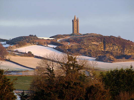 Frosty Scrabo by Nigel Cameron Frosty Scrabo by Nigel Cameron