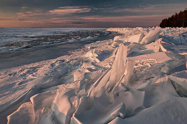 Wall Art - Photograph - Frozen Playground by Leda Robertson