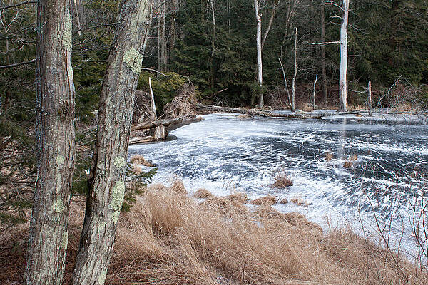 Wall Art - Photograph - Frozen Pond in NY by Kirkodd Photography Of New England