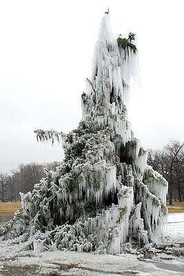 Frozen Tree 2 by Steve Tracy Frozen Tree 2 by Steve Tracy