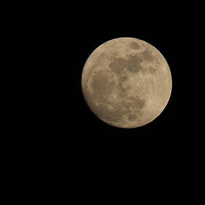 Full Moon 1-15-2014 by Mark Steven Houser Full Moon 1-15-2014 by Mark Steven Houser
