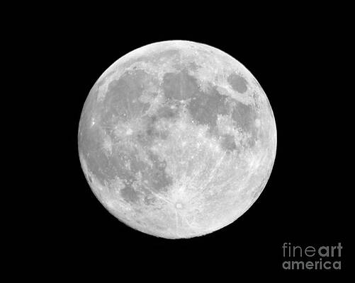 Full Moon by Colin Thomson
