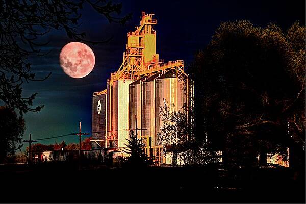 Wall Art - Photograph - Full Moon over Elevator by David Matthews